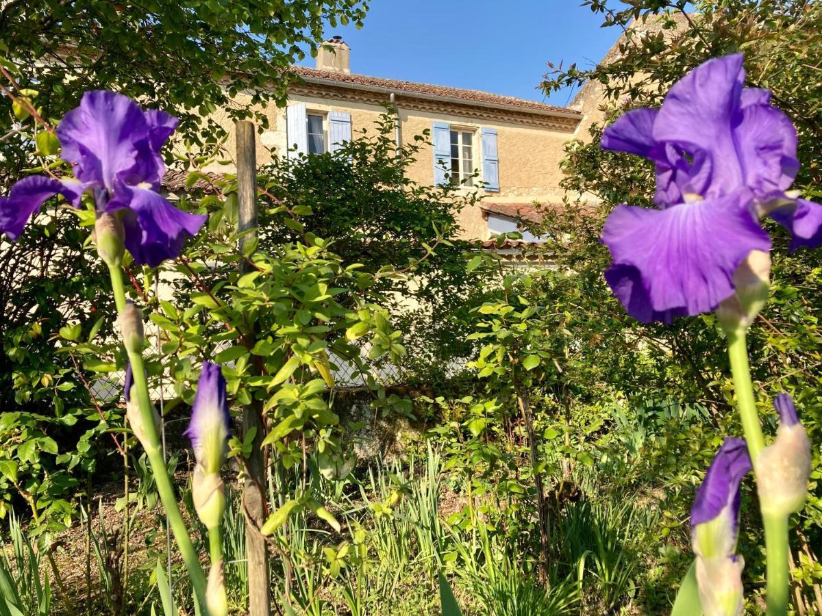 Bed and Breakfast Le Petit Cochon Valence-sur-Baïse Esterno foto