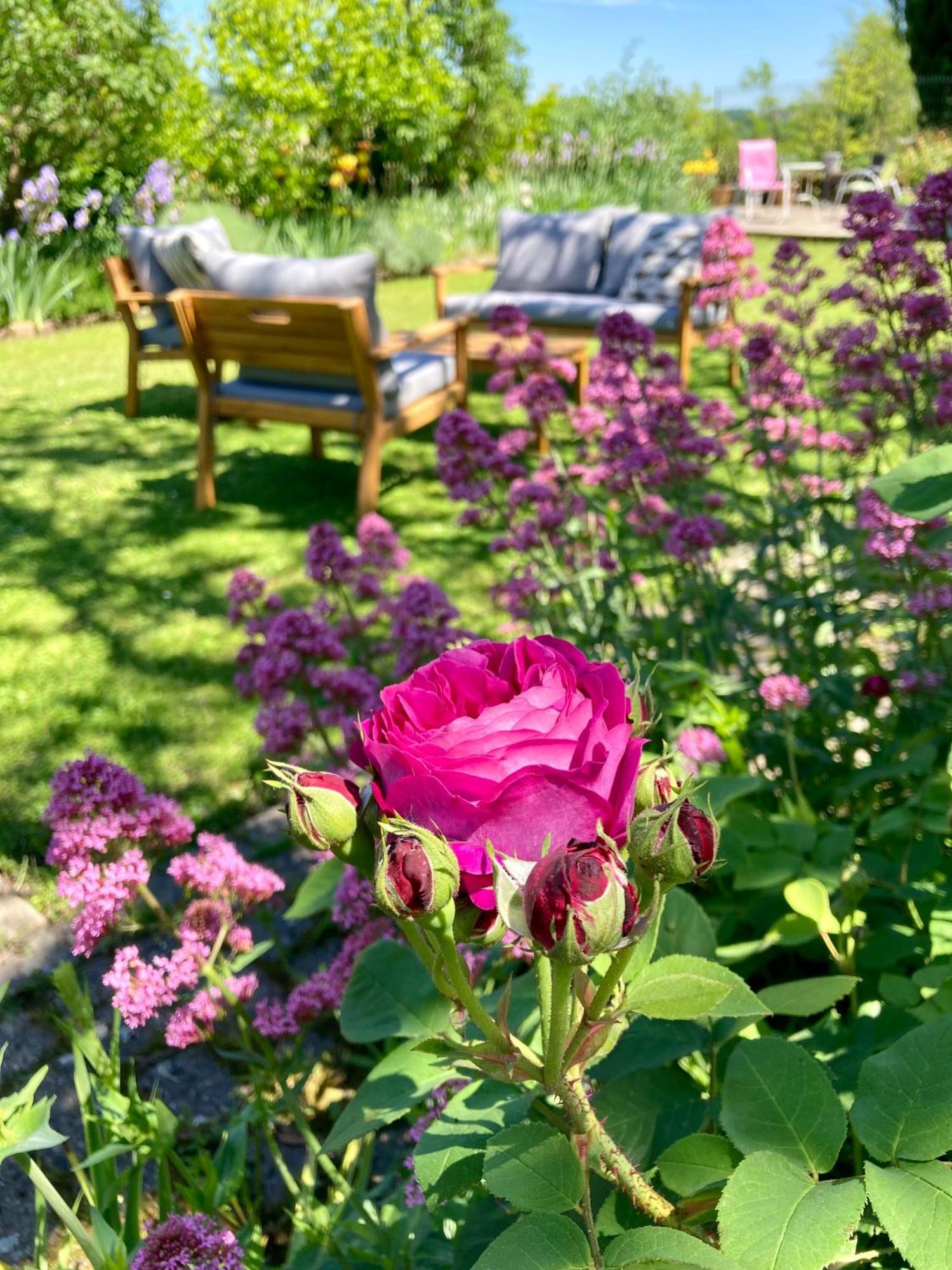 Bed and Breakfast Le Petit Cochon Valence-sur-Baïse Esterno foto